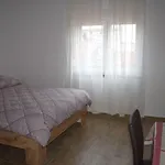 Nediljko & Mila Apartmán Zadar